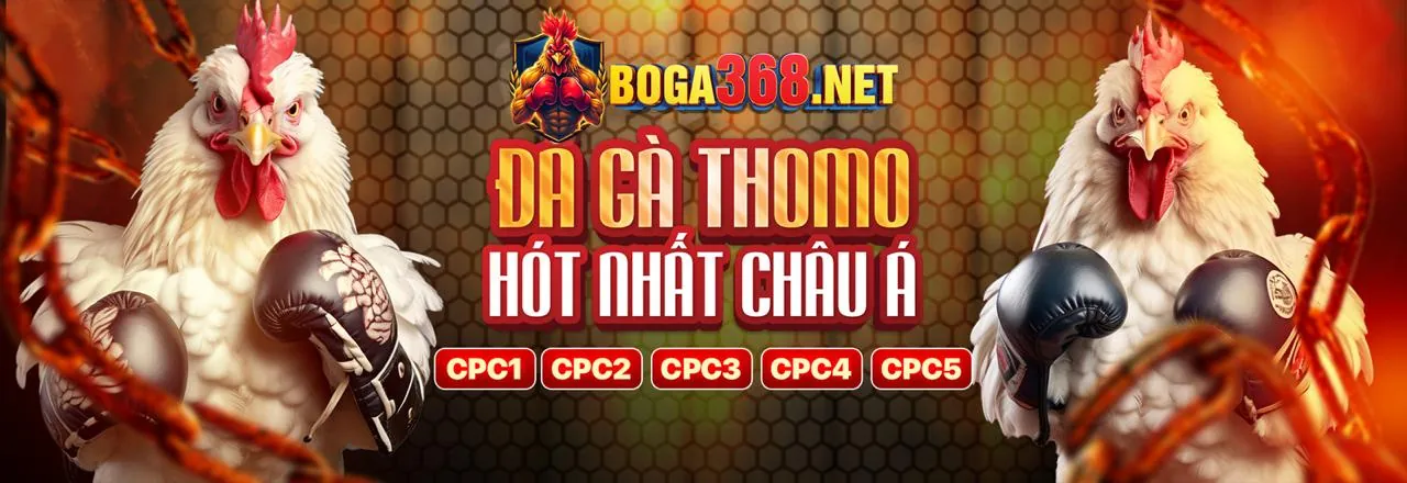 Trải nghiệm giải trí di động toàn diện với 32wim app