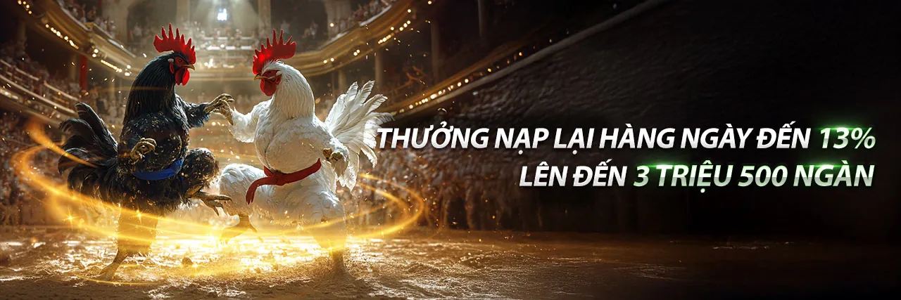 Sân đấu đá gà trực tuyến sôi động trên 32wim app